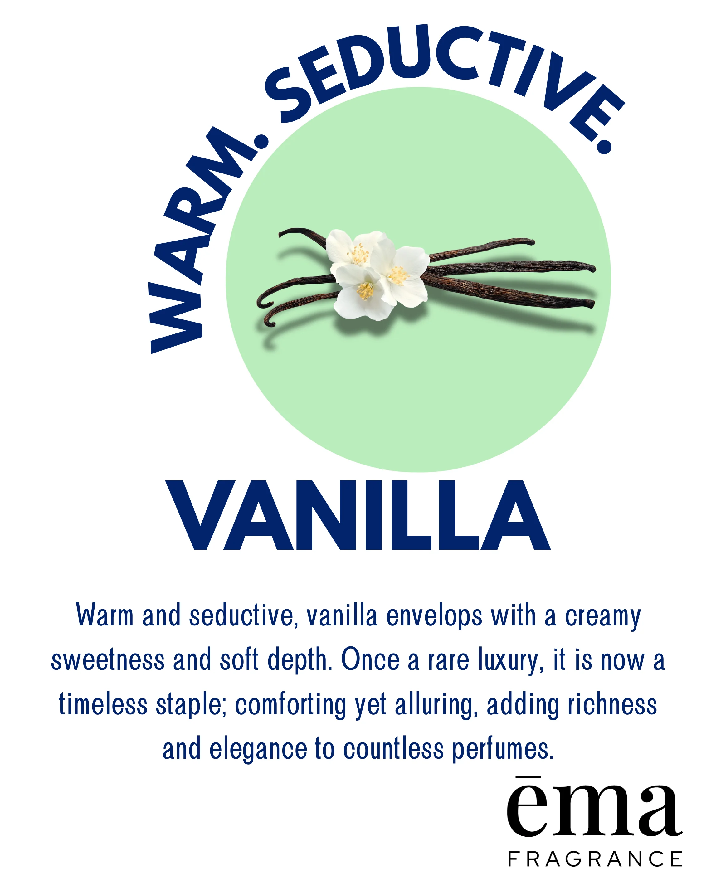 Vanilla – Creamy Gourmand Solid Perfume Pod - Image 8