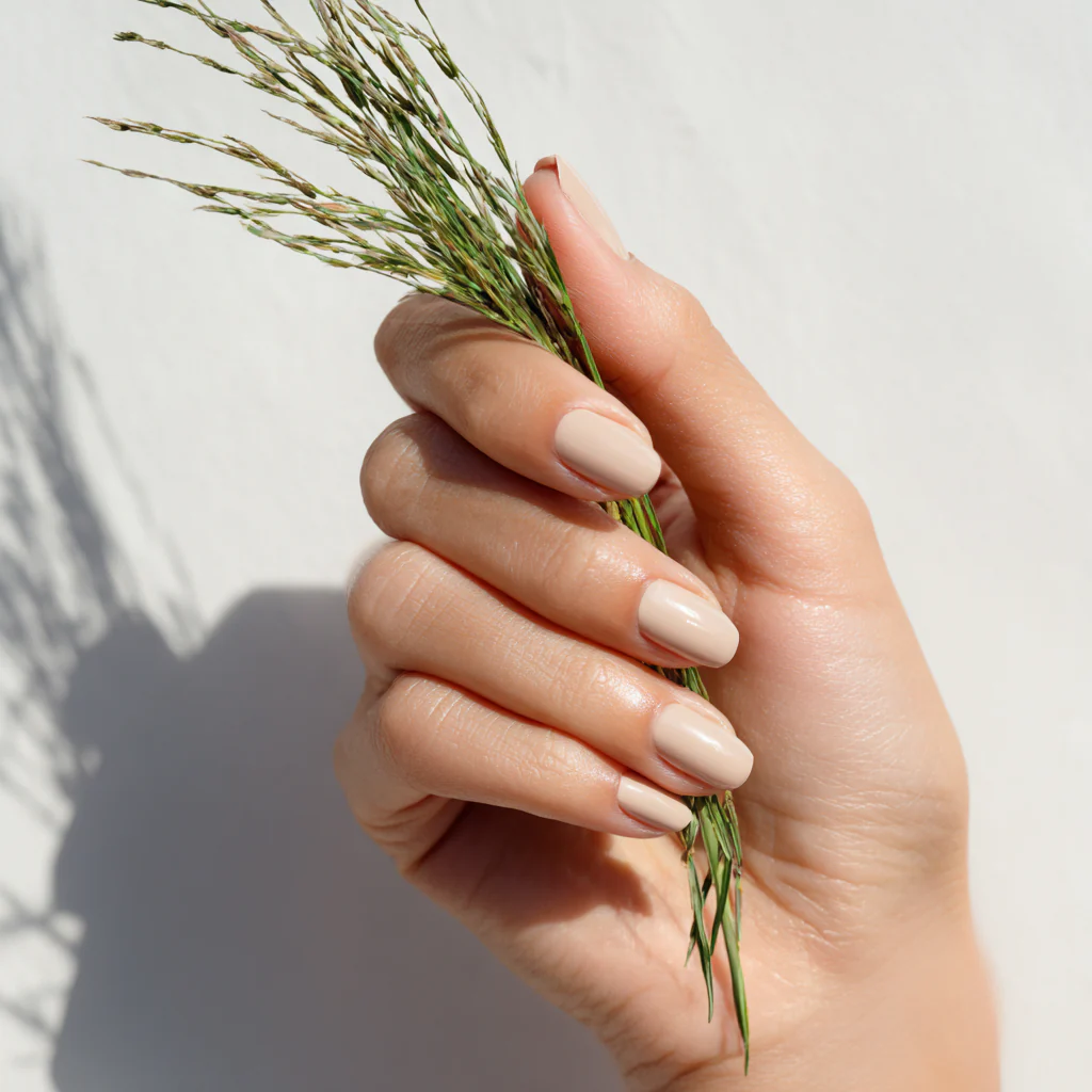 Vetiver – Fresh Earthy Green Solid Perfume Pod - Image 3